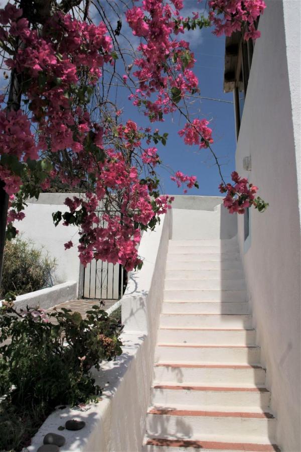 Case Al Mare - Terrazzi Panoramici E Ampio Giardino Санта-Марина-Салина Экстерьер фото